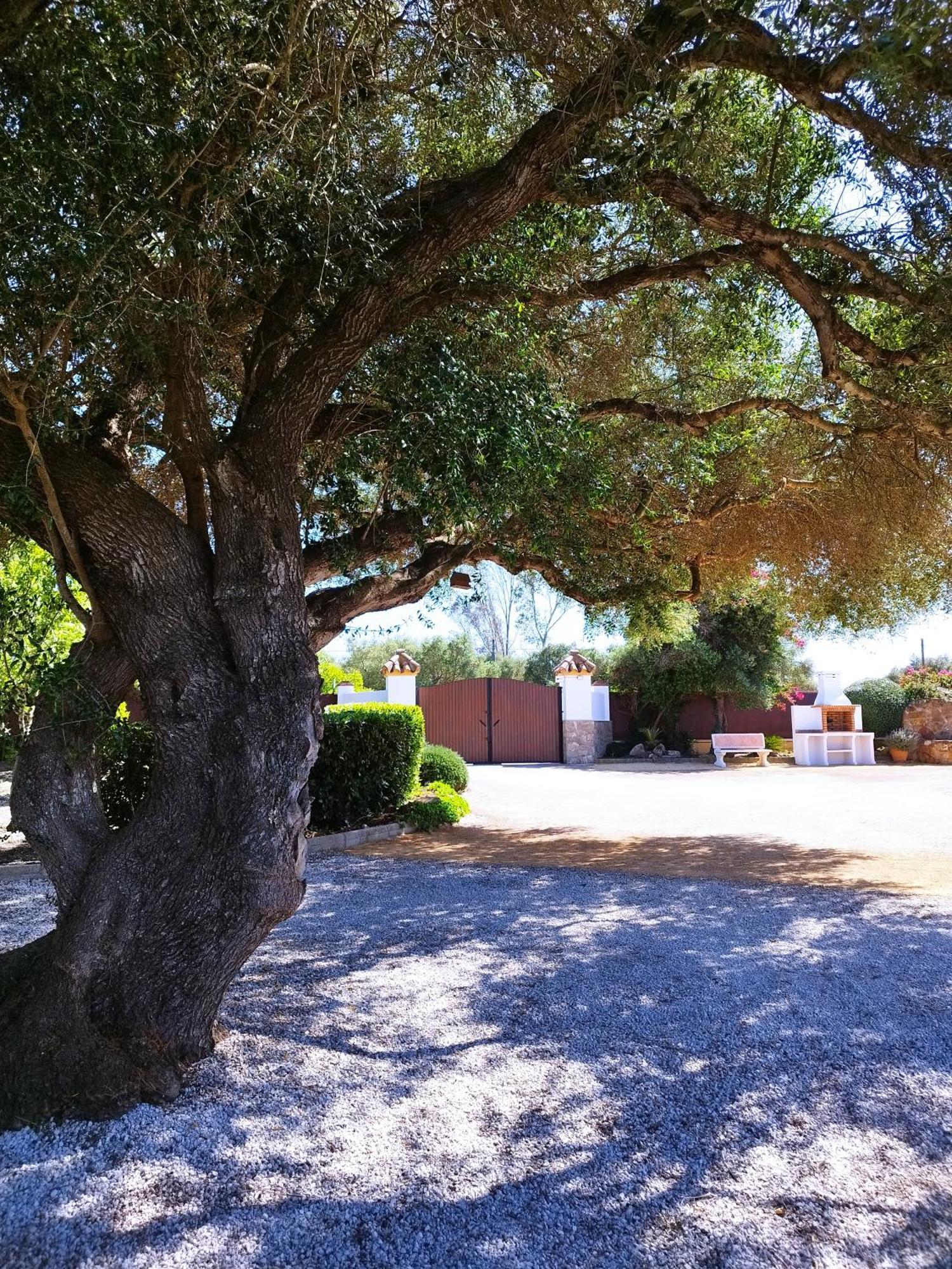 Vivienda Rural Los Madronos Malcocinado  Екстериор снимка