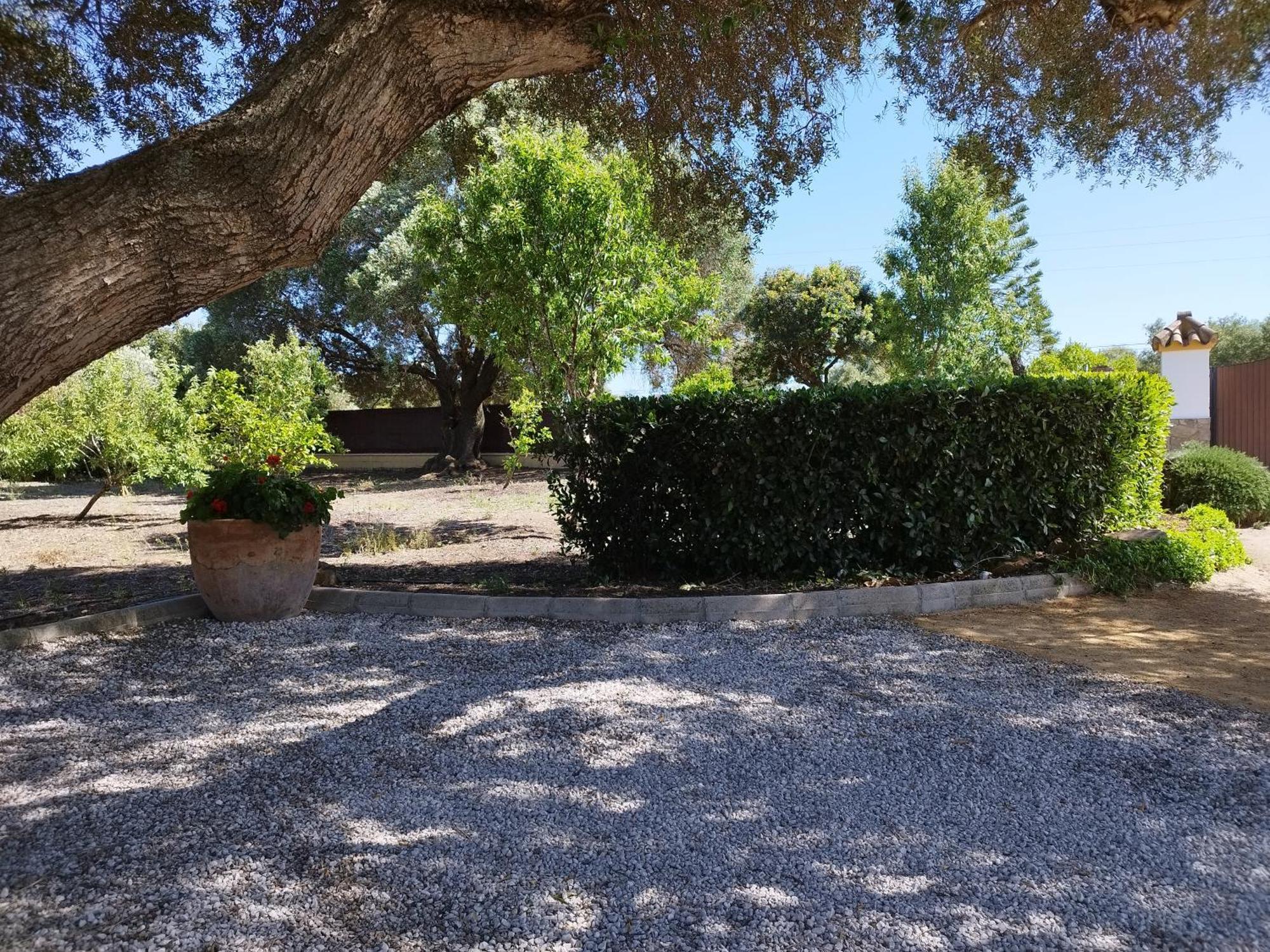 Vivienda Rural Los Madronos Malcocinado  Екстериор снимка